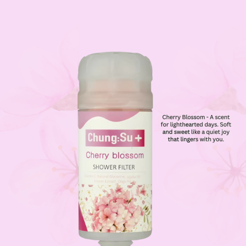 Vitamin C Shower Filter