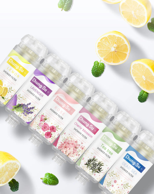 Vitamin C Shower Filter