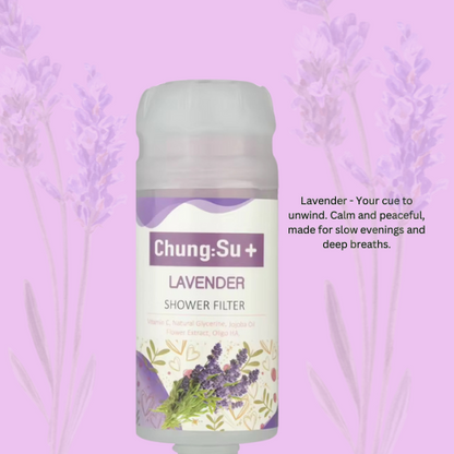 Vitamin C Shower Filter