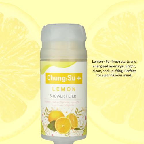 Vitamin C Shower Filter