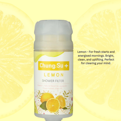 Vitamin C Shower Filter
