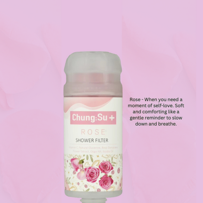 Vitamin C Shower Filter