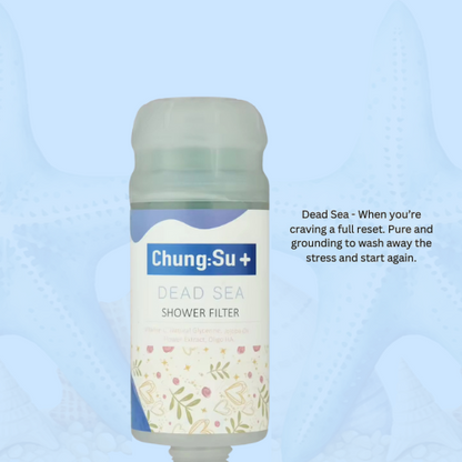 Vitamin C Shower Filter