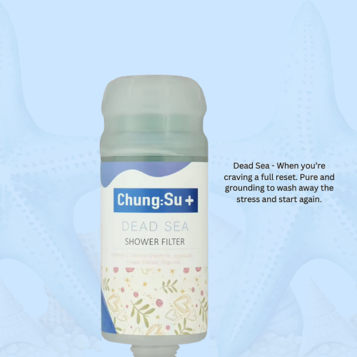 Vitamin C Shower Filter