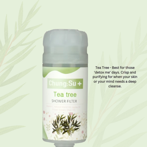 Vitamin C Shower Filter